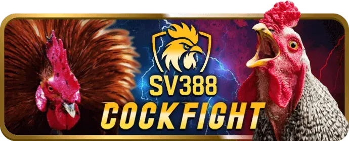 Một trận đấu tennis gay cấn với quả bóng đang bay trên không, thể hiện cá cược tennis tại ip88 game